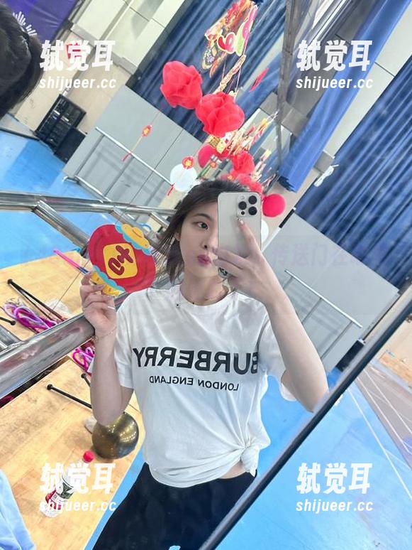 从488.su出发，传送门在哪里？我迷路了！