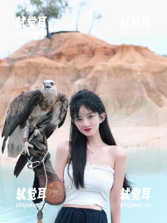 www.51.com资源多到我都怀疑自己是不是钻了进去？
