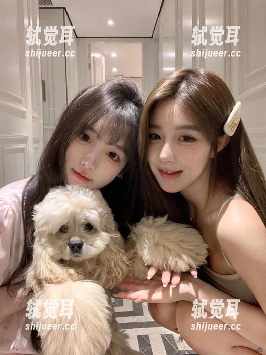 718sx 718sx网站,时不时就来个劲爆更新,让我惊得下巴要掉了!