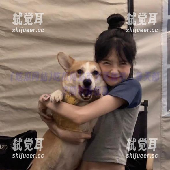 吃瓜网站首页更新奇，每天都来期待新惊喜