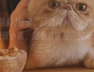 登录“网曝黑料”，就像翻开一本惊悚小说，越看越害怕，究竟谁以下三滥？