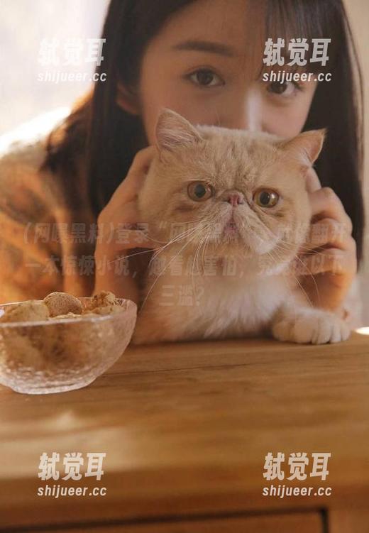 登录“网曝黑料”，就像翻开一本惊悚小说，越看越害怕，究竟谁以下三滥？
